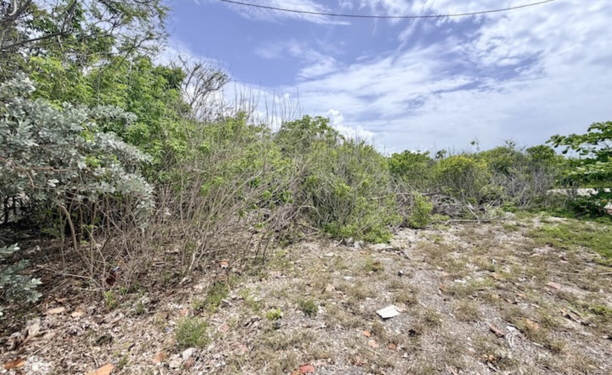 LARGE BEACHFRONT LOT - RUM POINT DRIVE - PERFECT ESTATE PARCEL