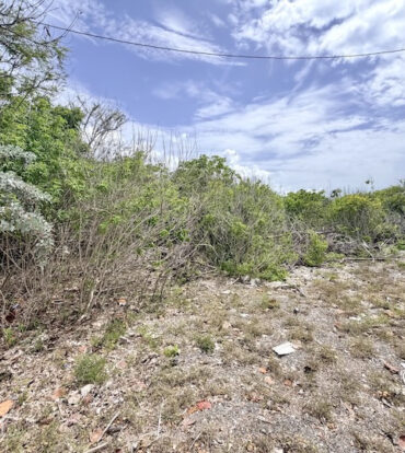 LARGE BEACHFRONT LOT - RUM POINT DRIVE - PERFECT ESTATE PARCEL