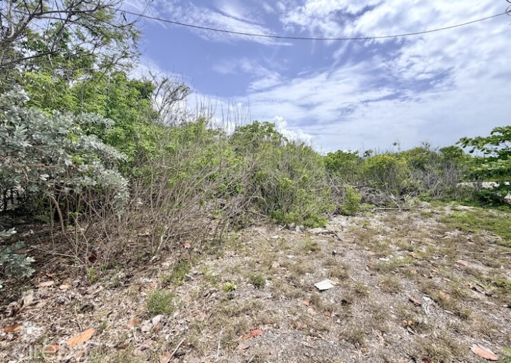 LARGE BEACHFRONT LOT - RUM POINT DRIVE - PERFECT ESTATE PARCEL