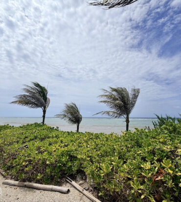 LARGE BEACHFRONT LOT - RUM POINT DRIVE - PERFECT ESTATE PARCEL