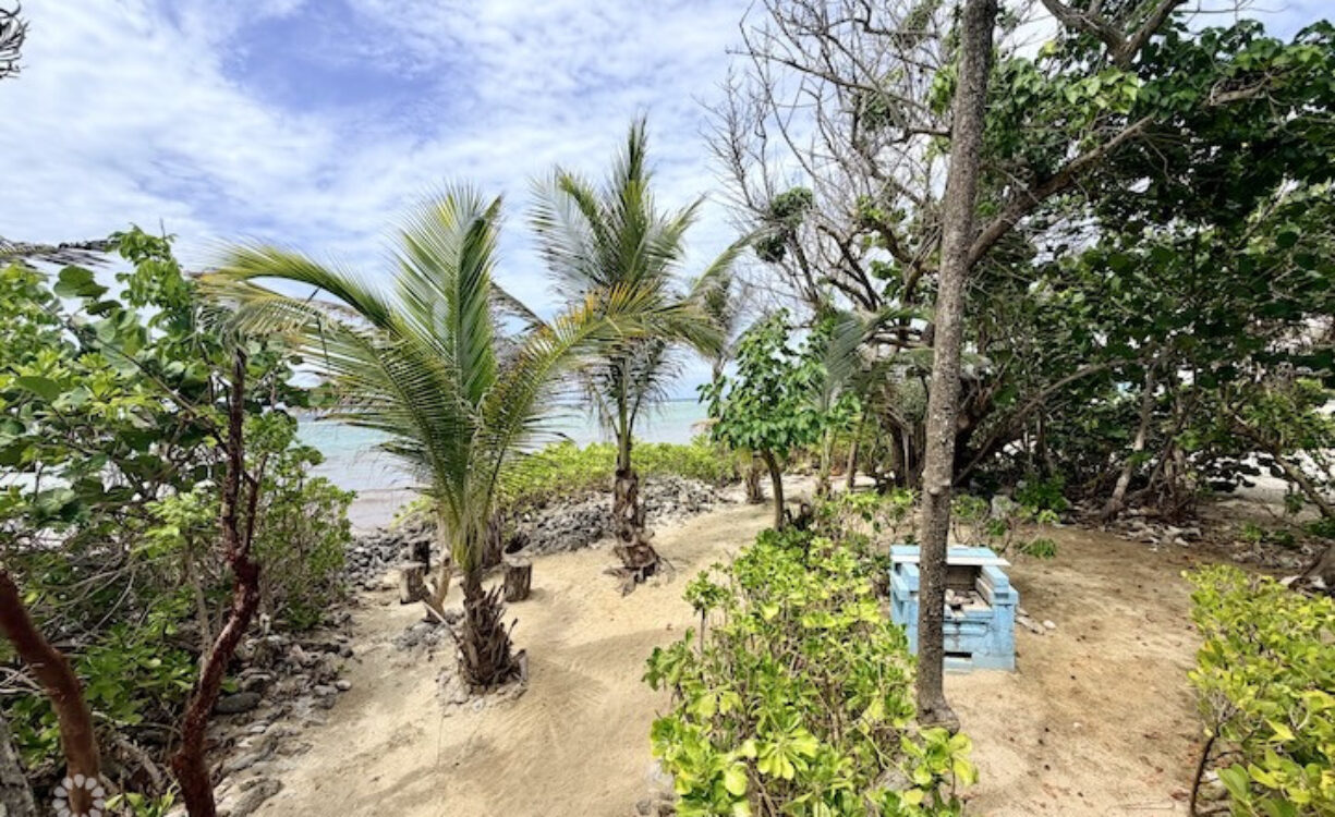 LARGE BEACHFRONT LOT - RUM POINT DRIVE - PERFECT ESTATE PARCEL