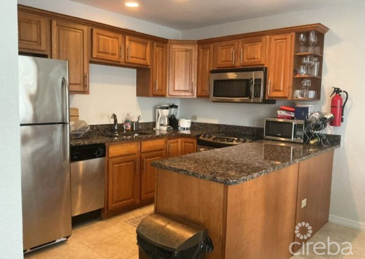 NORTH SIDE CONDOS #302
