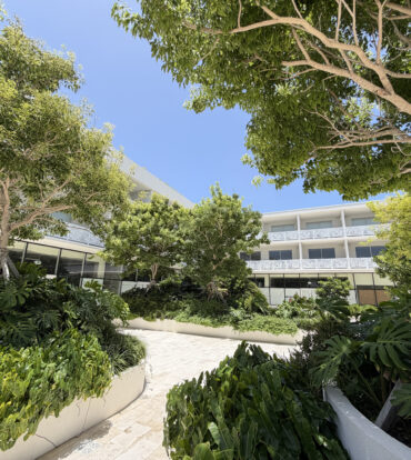 GROVE TOO  COMMERCIAL OFFICE SPACE - RARE CORNER LOCATION