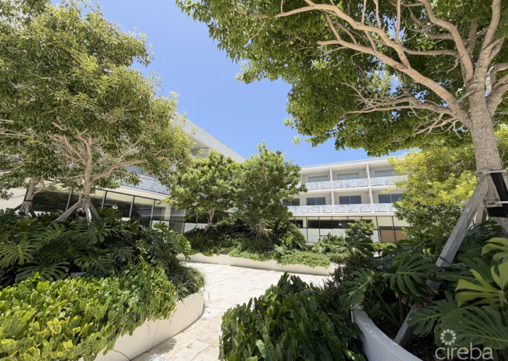 GROVE TOO  COMMERCIAL OFFICE SPACE - RARE CORNER LOCATION