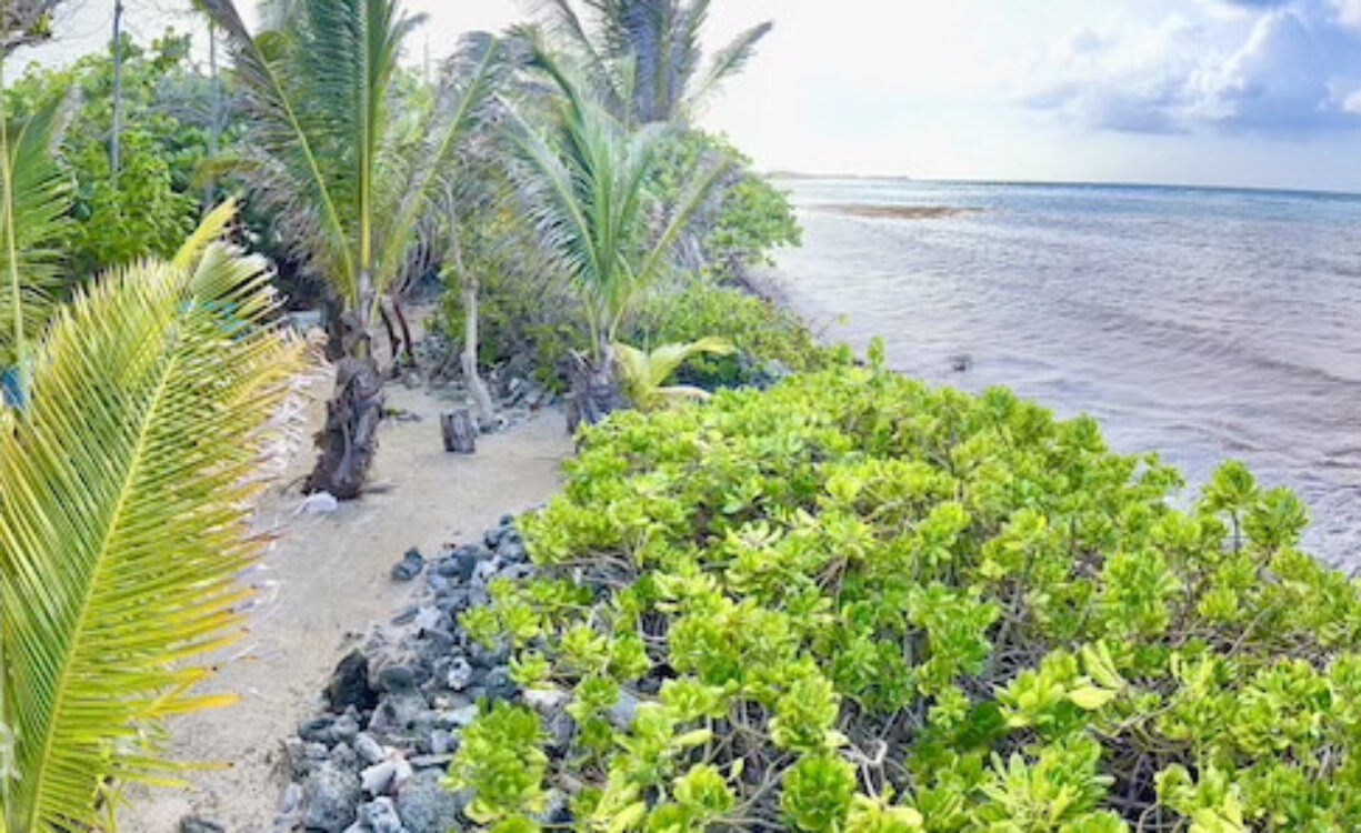 LARGE BEACHFRONT LOT - RUM POINT DRIVE - PERFECT ESTATE PARCEL