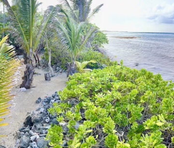 LARGE BEACHFRONT LOT - RUM POINT DRIVE - PERFECT ESTATE PARCEL