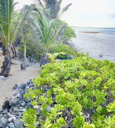 LARGE BEACHFRONT LOT - RUM POINT DRIVE - PERFECT ESTATE PARCEL
