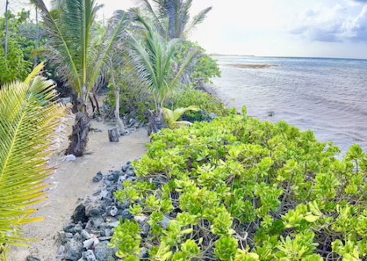 LARGE BEACHFRONT LOT - RUM POINT DRIVE - PERFECT ESTATE PARCEL