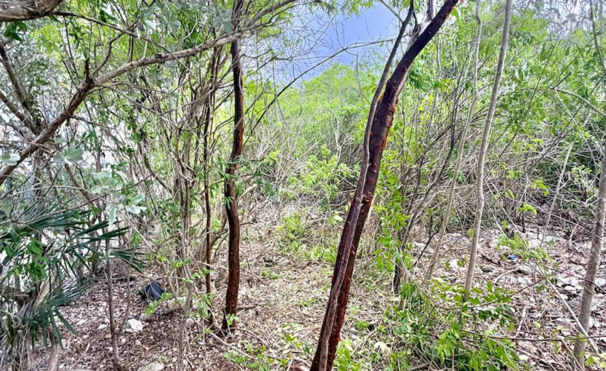 LARGE BEACHFRONT LOT - RUM POINT DRIVE - PERFECT ESTATE PARCEL