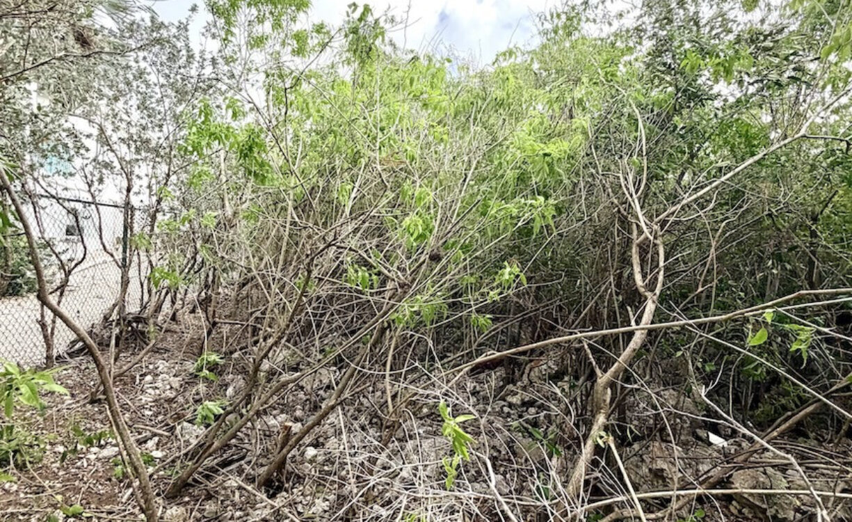 LARGE BEACHFRONT LOT - RUM POINT DRIVE - PERFECT ESTATE PARCEL