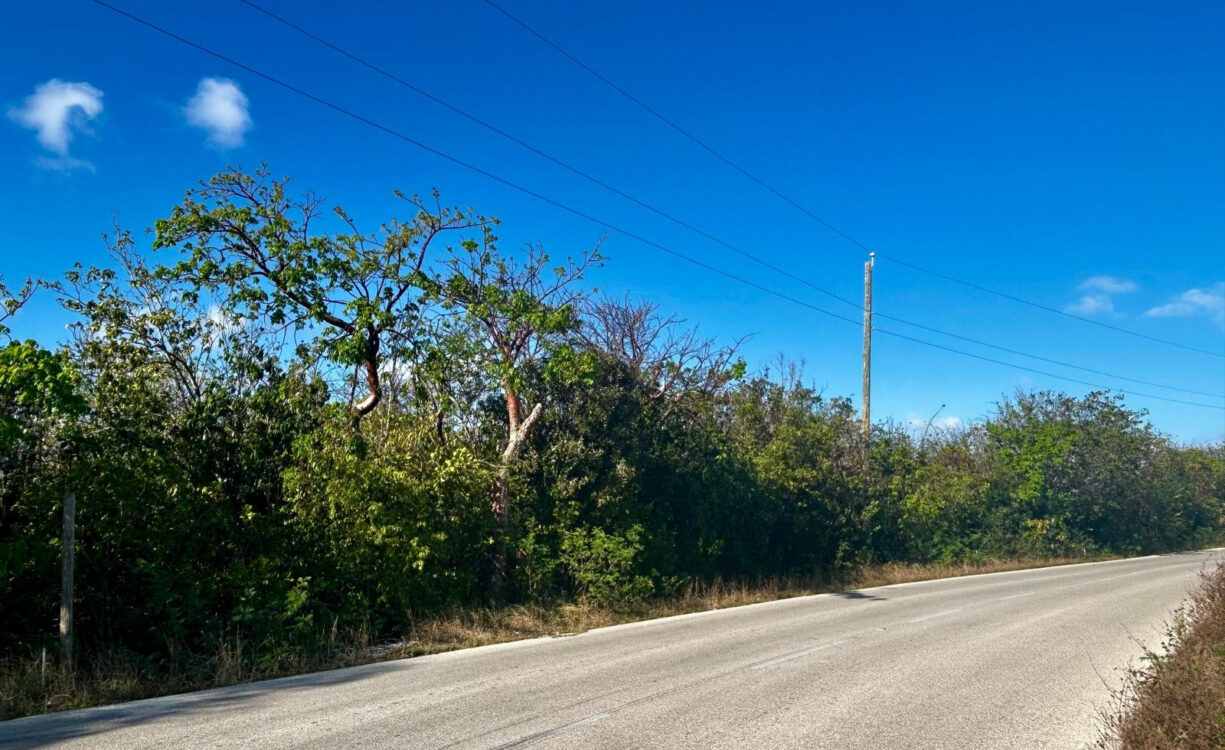 BLUFF EDGE - OCEAN VIEW