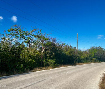 BLUFF EDGE - OCEAN VIEW