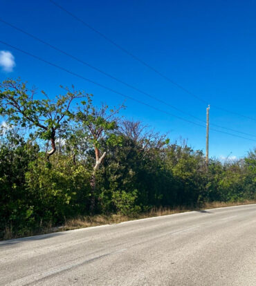 BLUFF EDGE - OCEAN VIEW