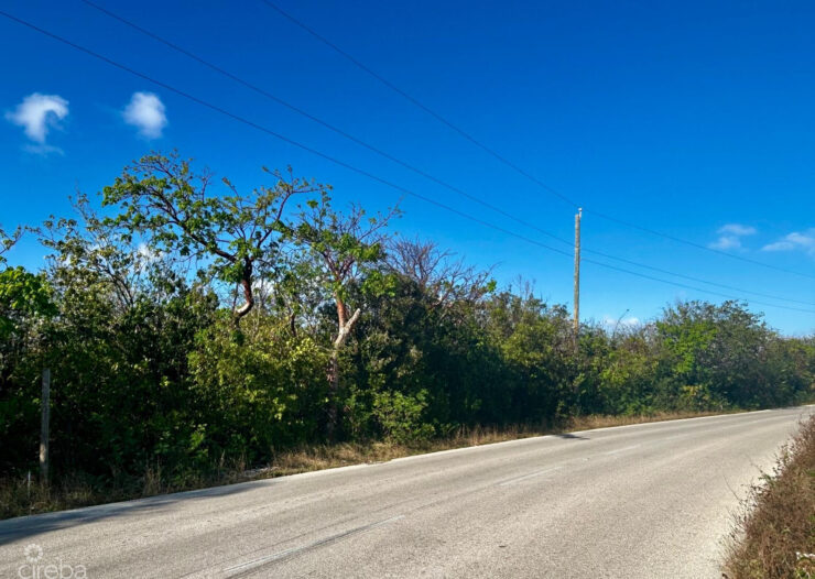 BLUFF EDGE - OCEAN VIEW