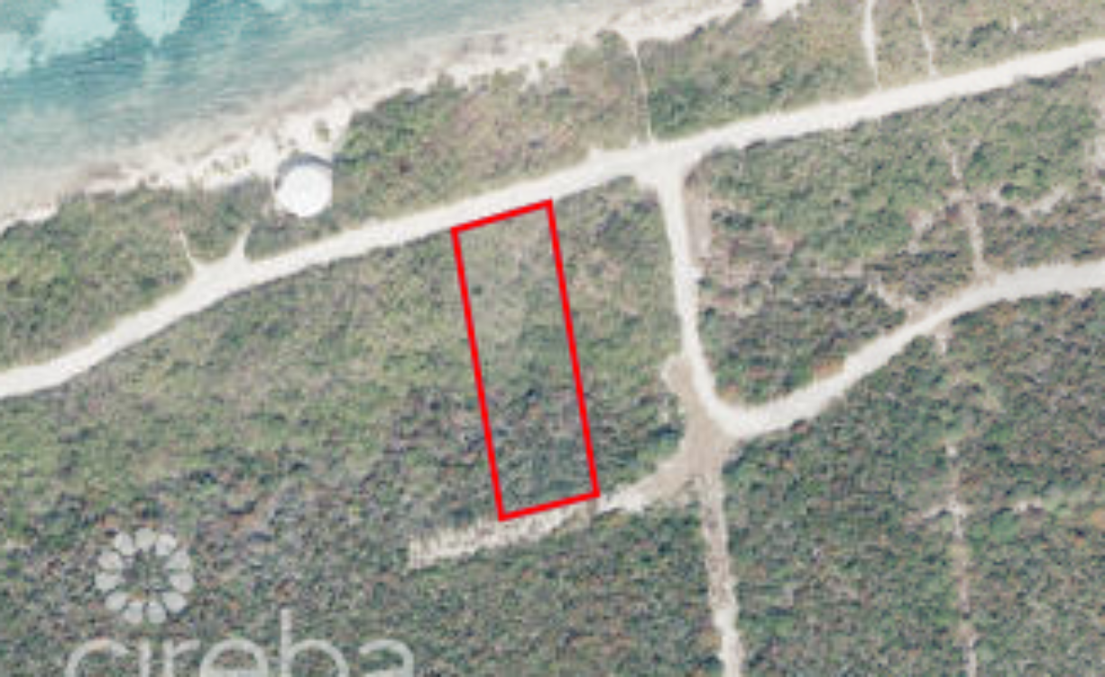 CORAL POINT