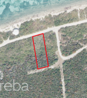 CORAL POINT