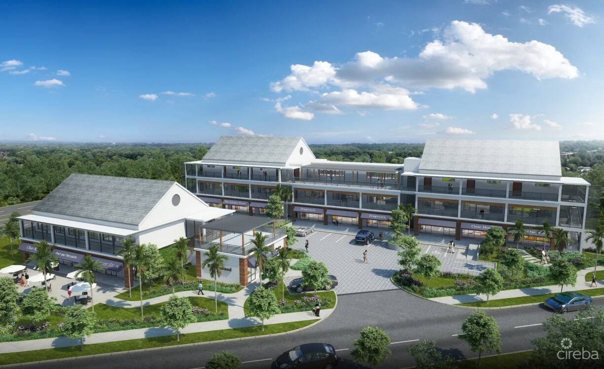 THE SHOPS AT BUTTONWOOD