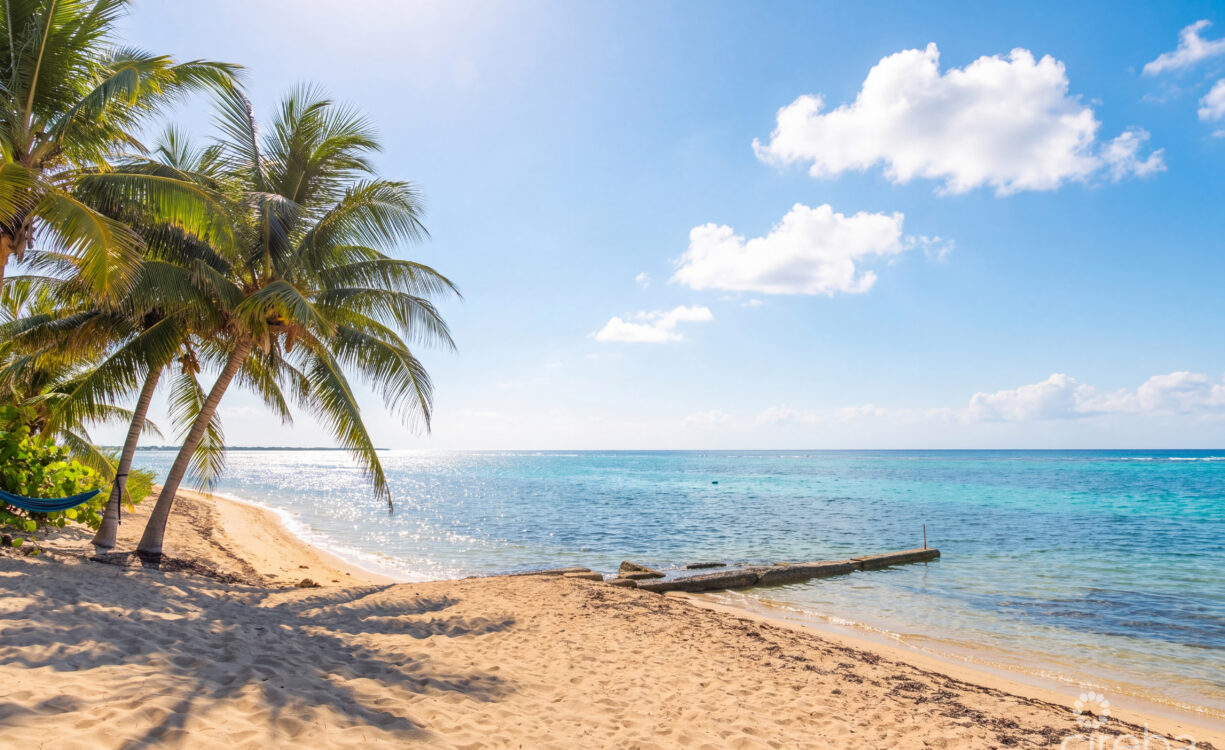 WINTERHAVEN BEACHFRONT 3 BED