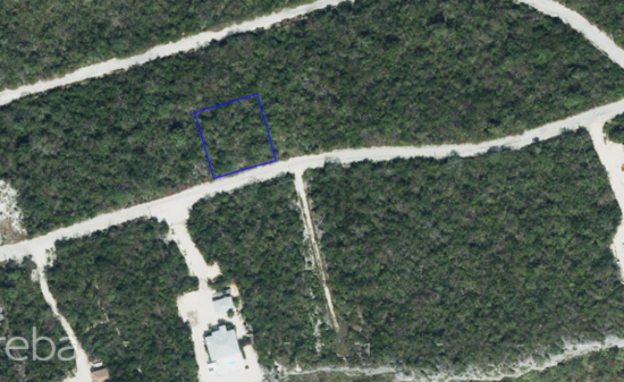 CAYMAN BRAC BLUFF LOT (0.2874 ACRE)