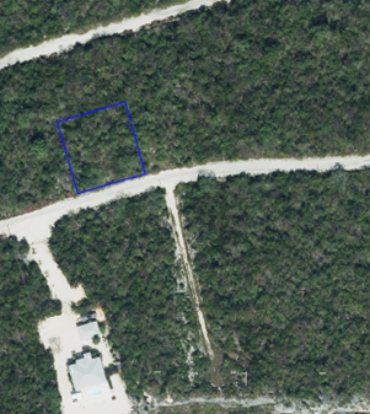 CAYMAN BRAC BLUFF LOT (0.2874 ACRE)