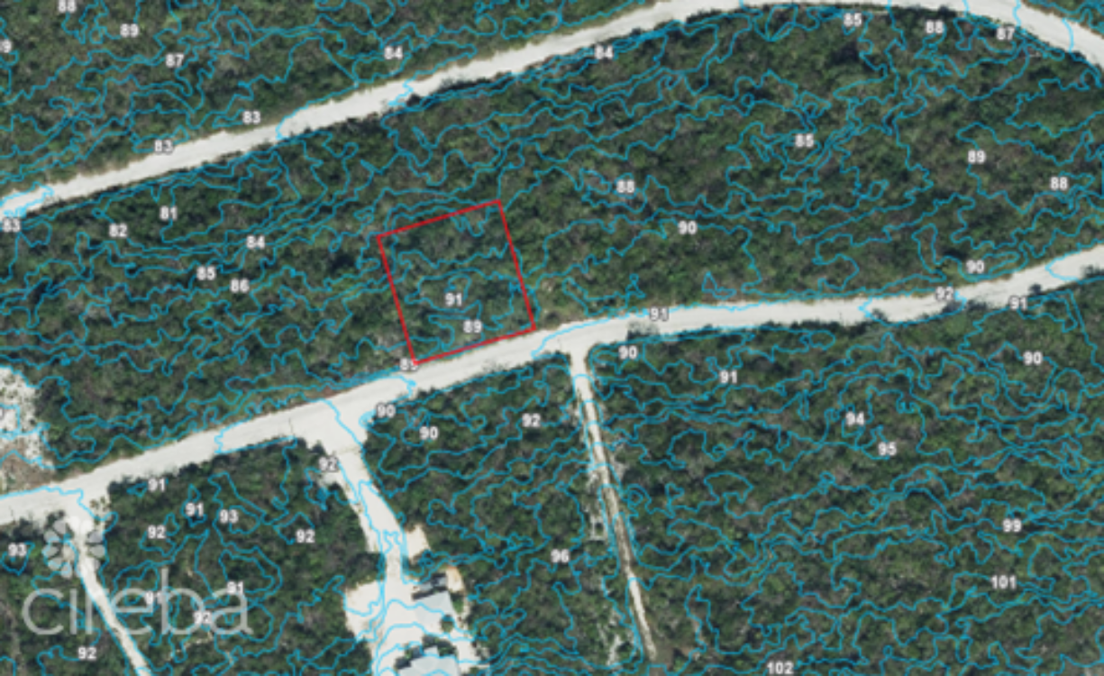 CAYMAN BRAC BLUFF LOT (0.2874 ACRE)
