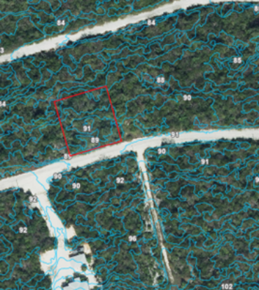 CAYMAN BRAC BLUFF LOT (0.2874 ACRE)