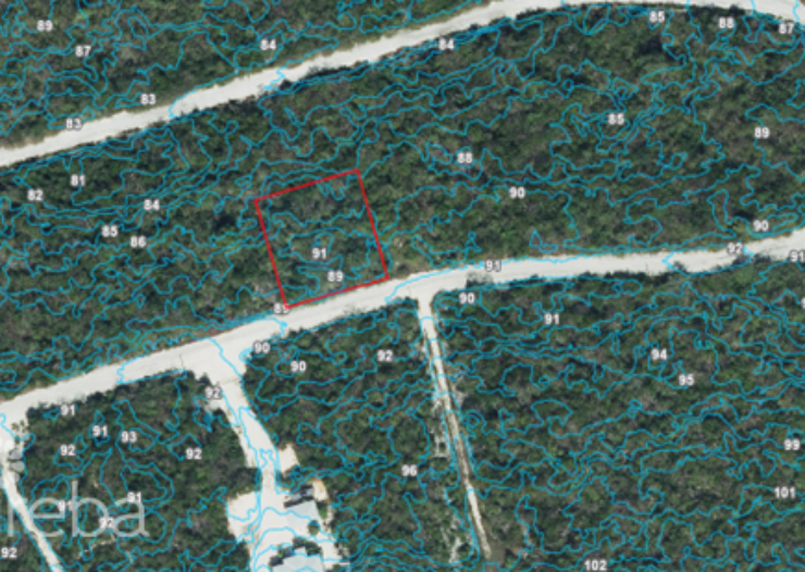 CAYMAN BRAC BLUFF LOT (0.2874 ACRE)