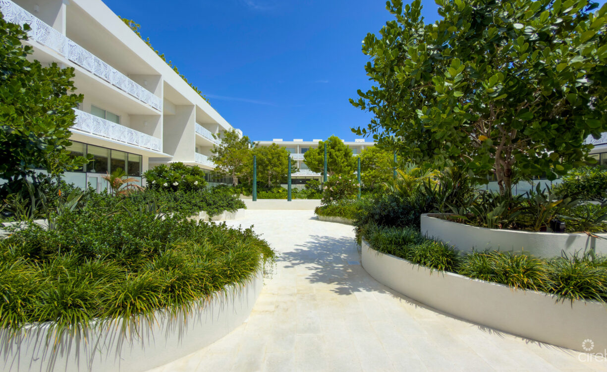 THE GROVE TOO - 1 BED CONDO