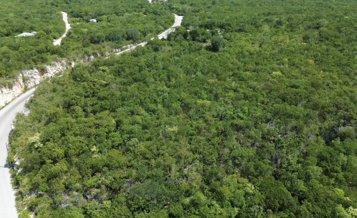 BLUFF EDGE AT THE CREEK