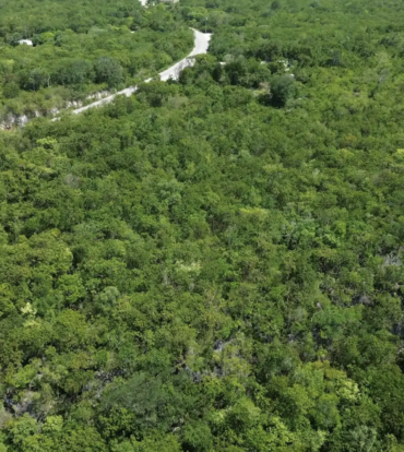 BLUFF EDGE AT THE CREEK
