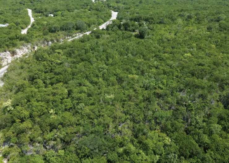 BLUFF EDGE AT THE CREEK