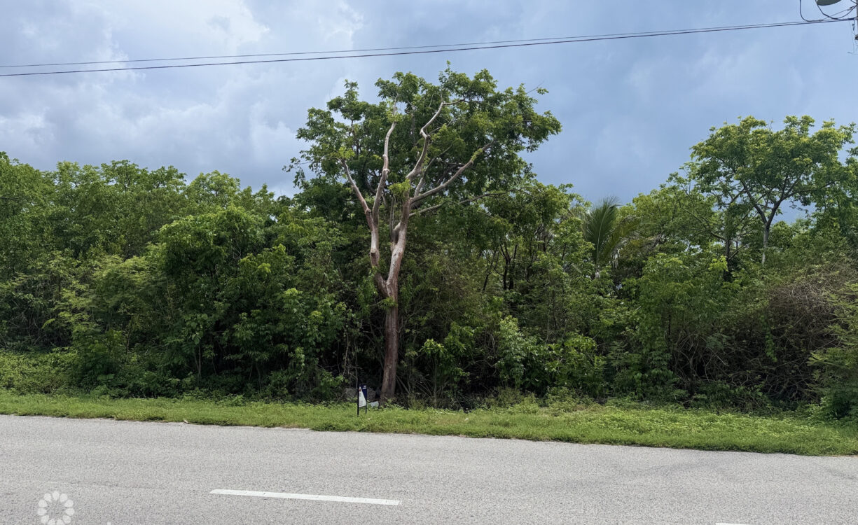 RUM POINT DRIVE LARGE LOT 31