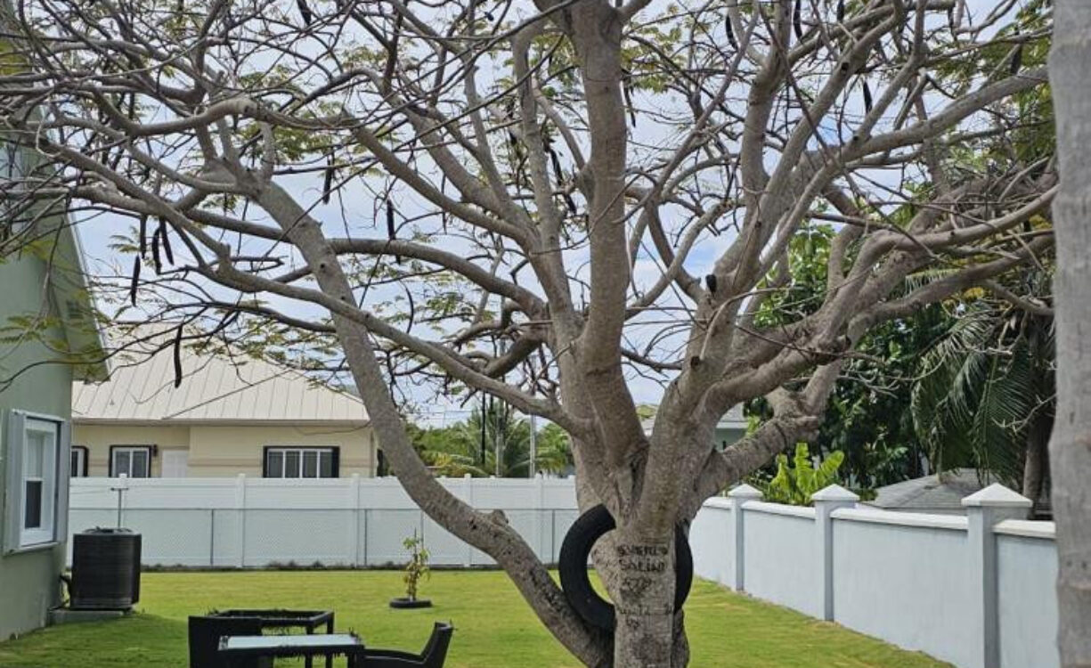 DUPLEX INVESTMENT PROPERTY - AURORA DRIVE, WEST BAY