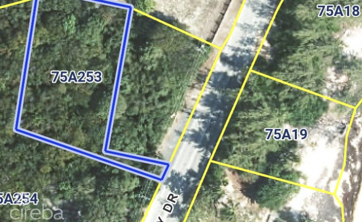 GUN BAY |  OCEAN FRONT |  0.67 ACRES
