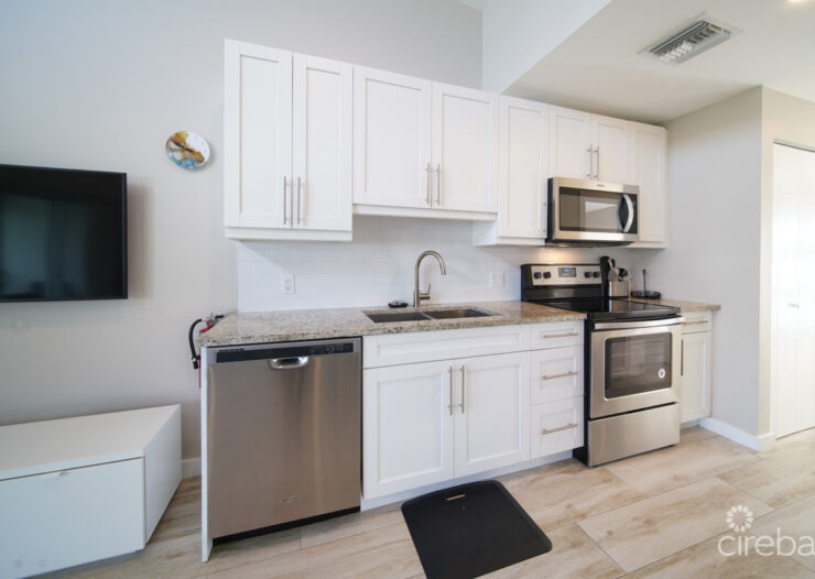 DOWNTOWN REACH - ONE BEDROOM