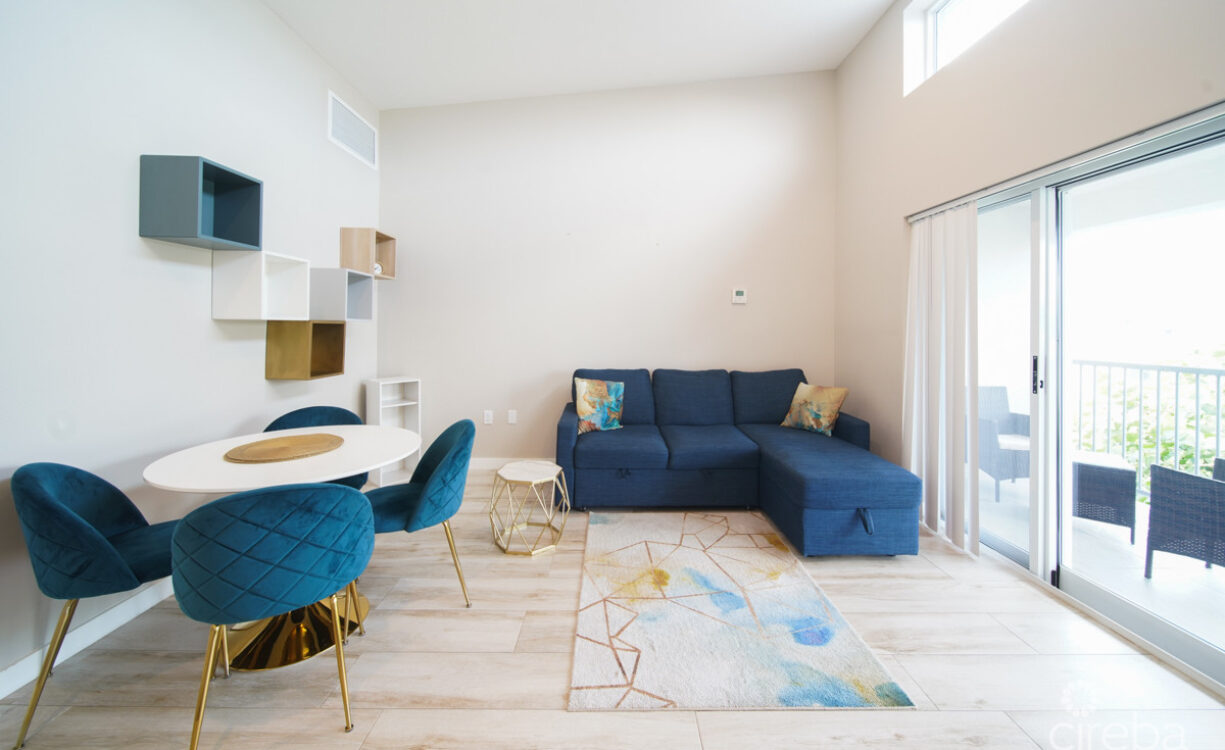 DOWNTOWN REACH - ONE BEDROOM