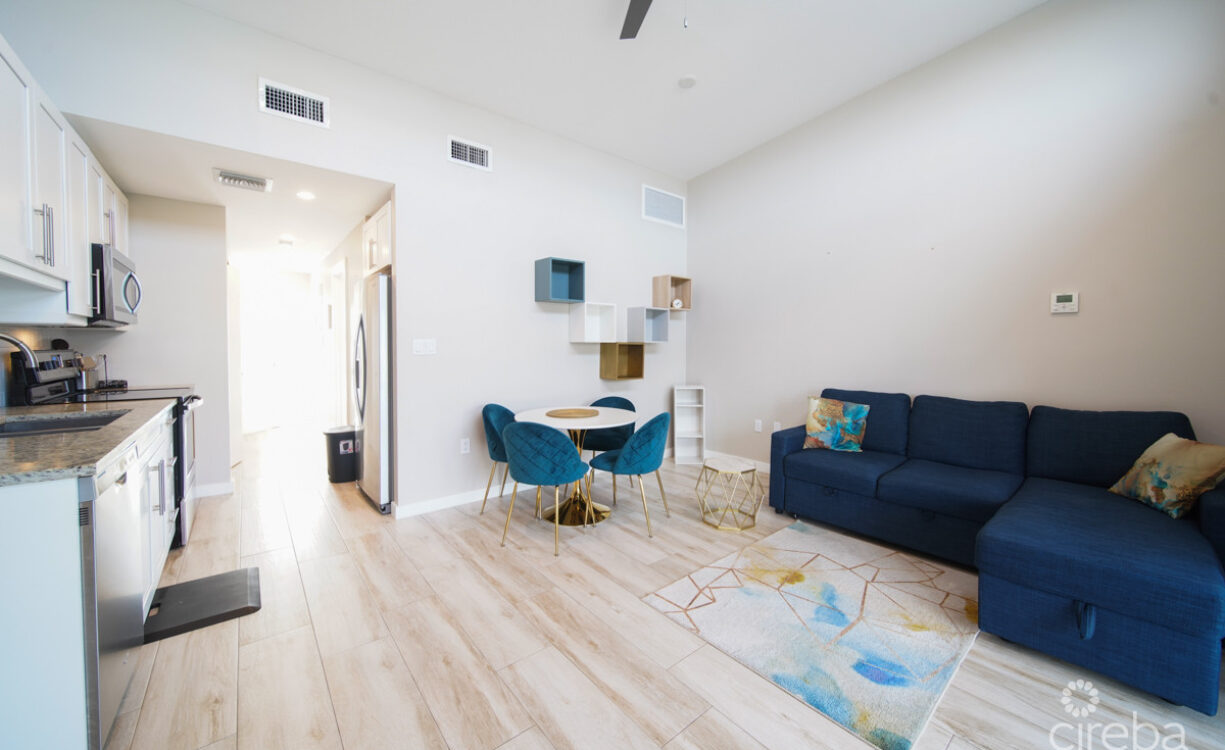 DOWNTOWN REACH - ONE BEDROOM