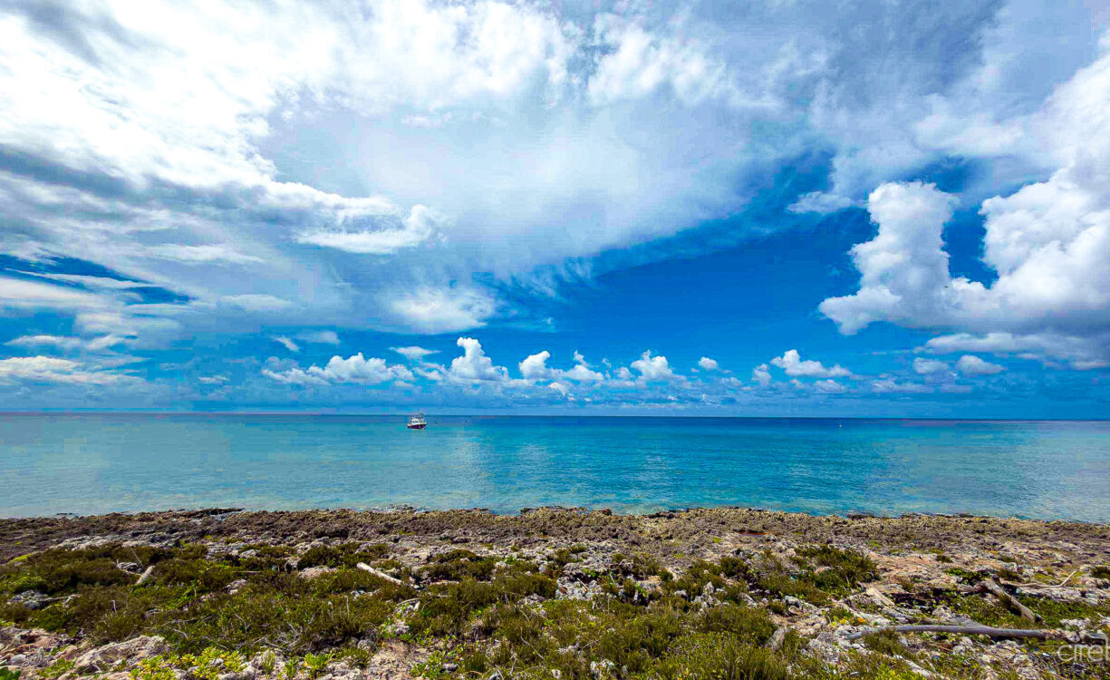 WESTVIEW - GROUND FLOOR OCEANFRONT CONDO