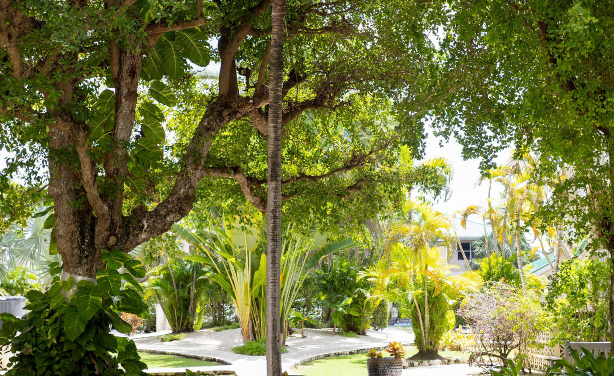 PLANTATION VILLAGE