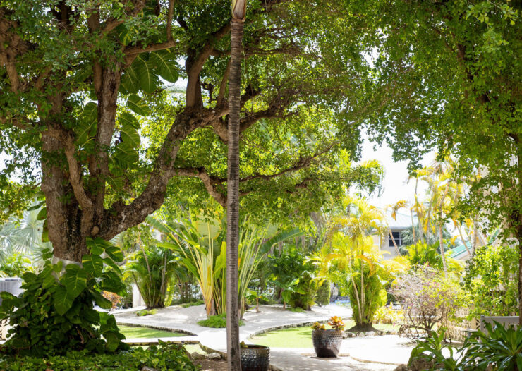 PLANTATION VILLAGE