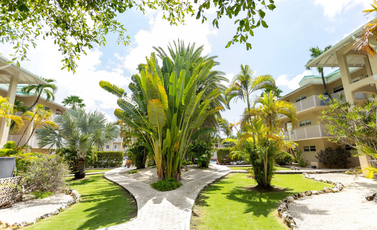 PLANTATION VILLAGE