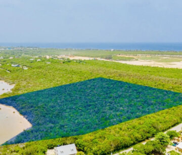 ALEXANDER GROVE SUBDIVISION - CAYMAN BRAC - POND LOT 2