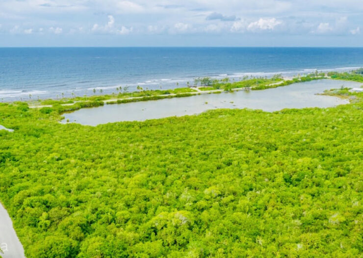 ALEXANDER GROVE SUBDIVISION - CAYMAN BRAC - POND LOT 2