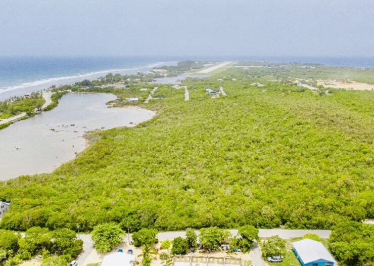 ALEXANDER GROVE SUBDIVISION - CAYMAN BRAC - POND LOT 2