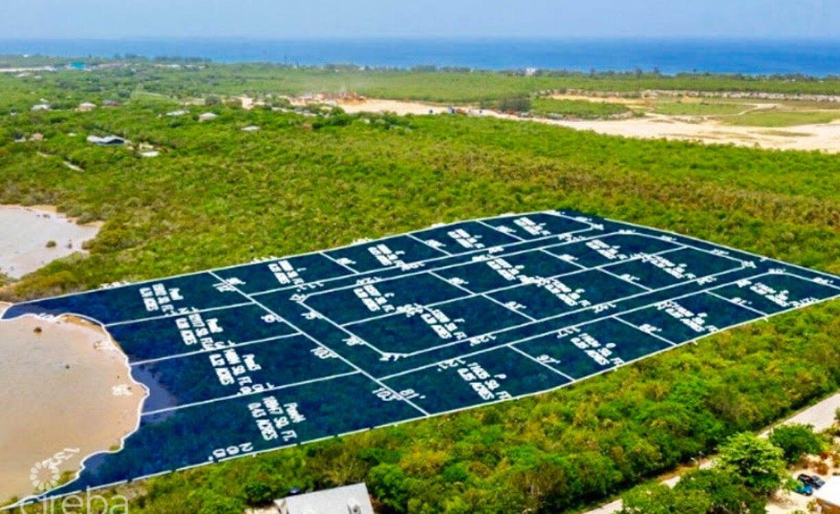 ALEXANDER GROVE SUBDIVISION - CAYMAN BRAC - POND LOT 2