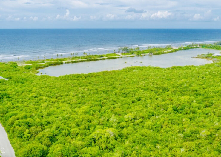 ALEXANDER GROVE SUBDIVISION - CAYMAN BRAC - POND LOT 3