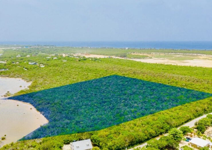 ALEXANDER GROVE SUBDIVISION - CAYMAN BRAC - POND LOT 4