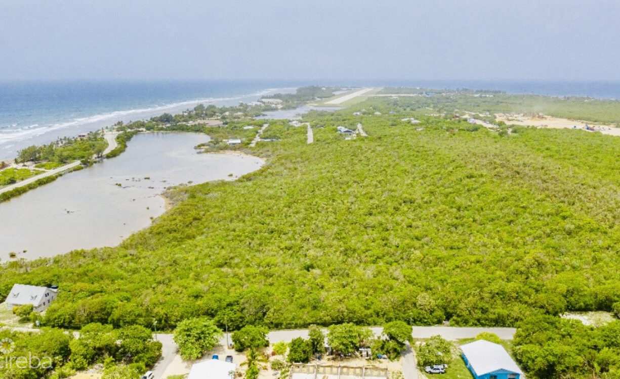 ALEXANDER GROVE SUBDIVISION - CAYMAN BRAC - POND LOT 4