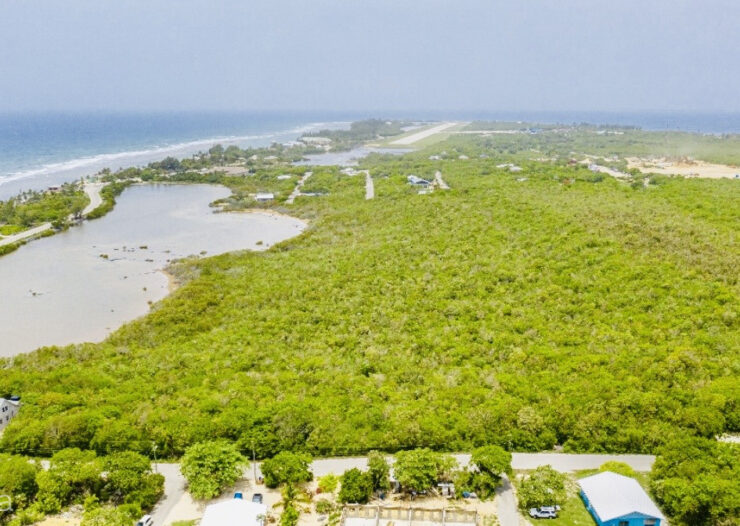 ALEXANDER GROVE SUBDIVISION - CAYMAN BRAC - POND LOT 4