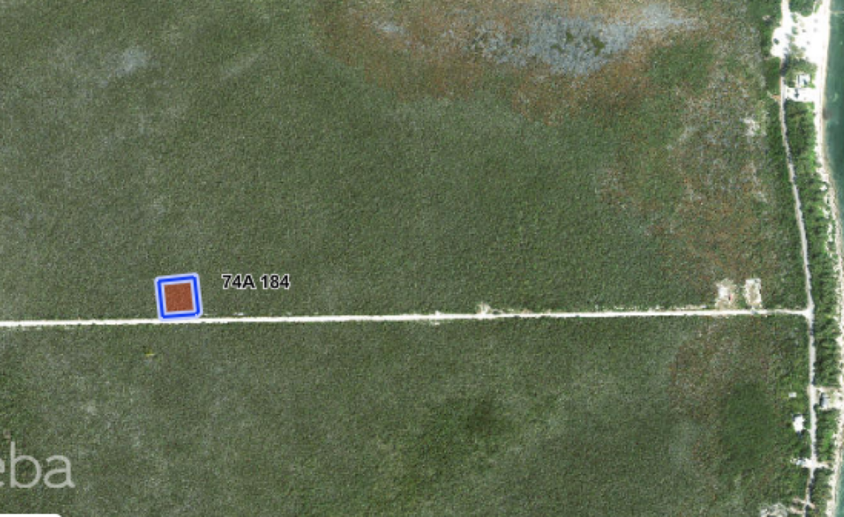 COLLIERS HOMESTEAD 1 ACRE